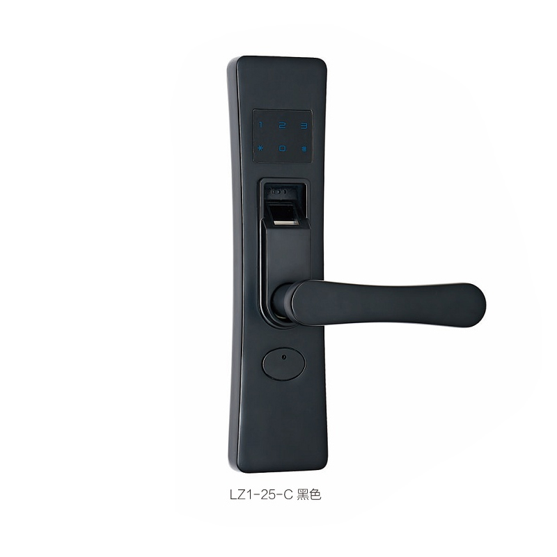 LZ1-25-C 黑