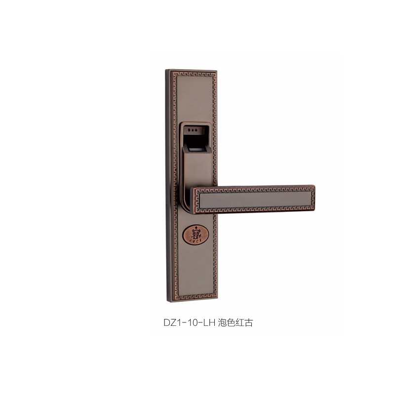 DZ1-10-LH 