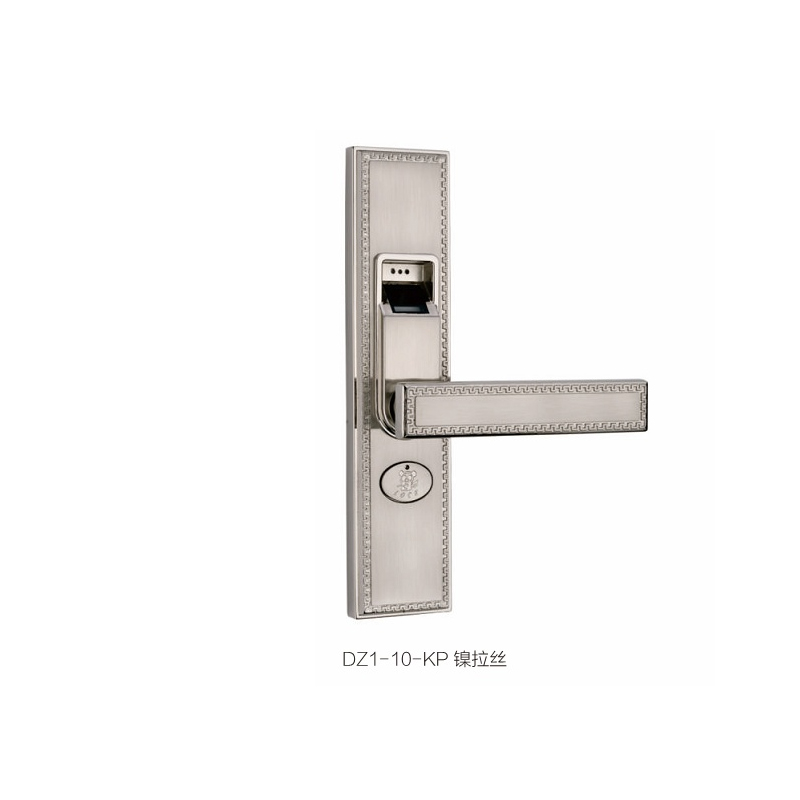 DZ1-10-KP 